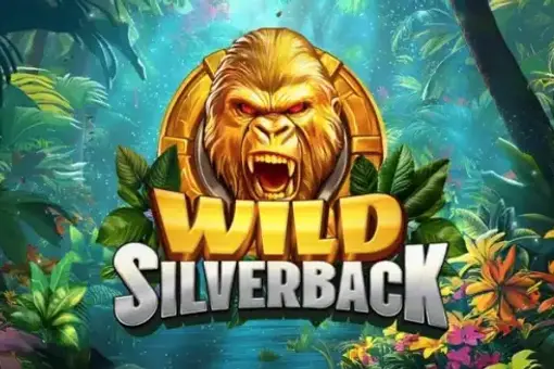 Wild Silverback